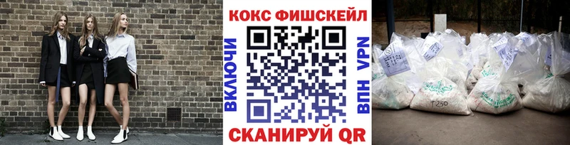 продажа наркотиков  Нижнекамск  COCAIN Эквадор 