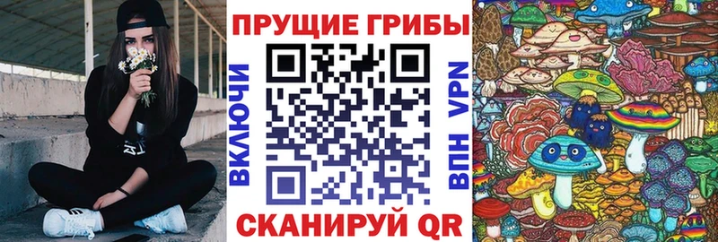 Псилоцибиновые грибы Psilocybe  купить закладку  Нижнекамск 